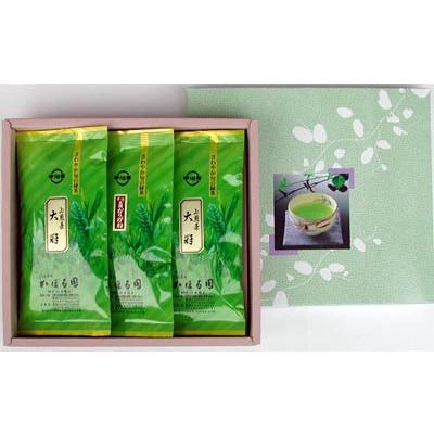 高級 宇治茶 100g 3本 入 平ケース 国産 | 