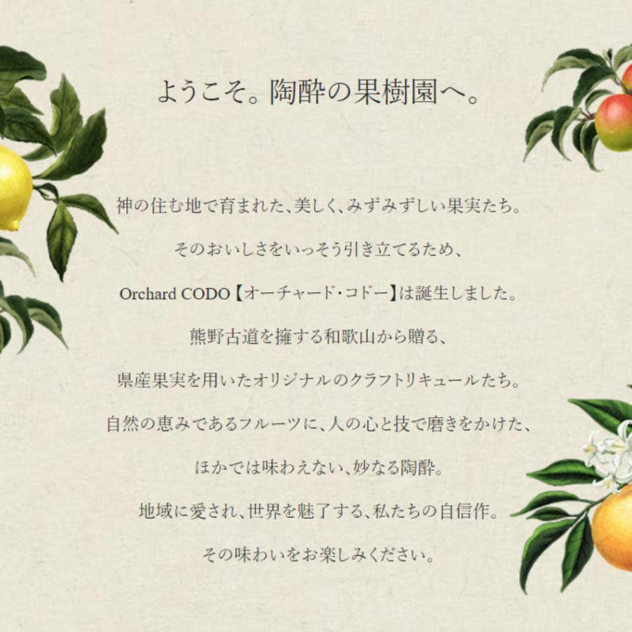 【3本ギフトセット×10箱】Orchard CODO 梅とエルダーの芳醇スパークリング 夏みかんのスプモーニ 紀州レモンのビターレスカ |  | 13