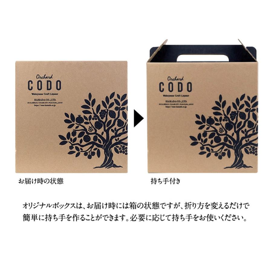 【3本ギフトセット×10箱】Orchard CODO 梅とエルダーの芳醇スパークリング 夏みかんのスプモーニ 紀州レモンのビターレスカ |  | 02