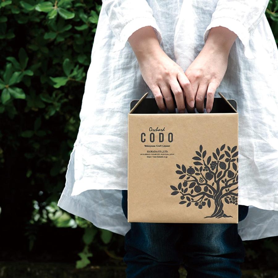 【1箱12本入×2箱　2つの味自由選択】Orchard CODO 梅とエルダーの芳醇スパークリング 夏みかんのスプモーニ 紀州レモンのビターレスカ |  | 13