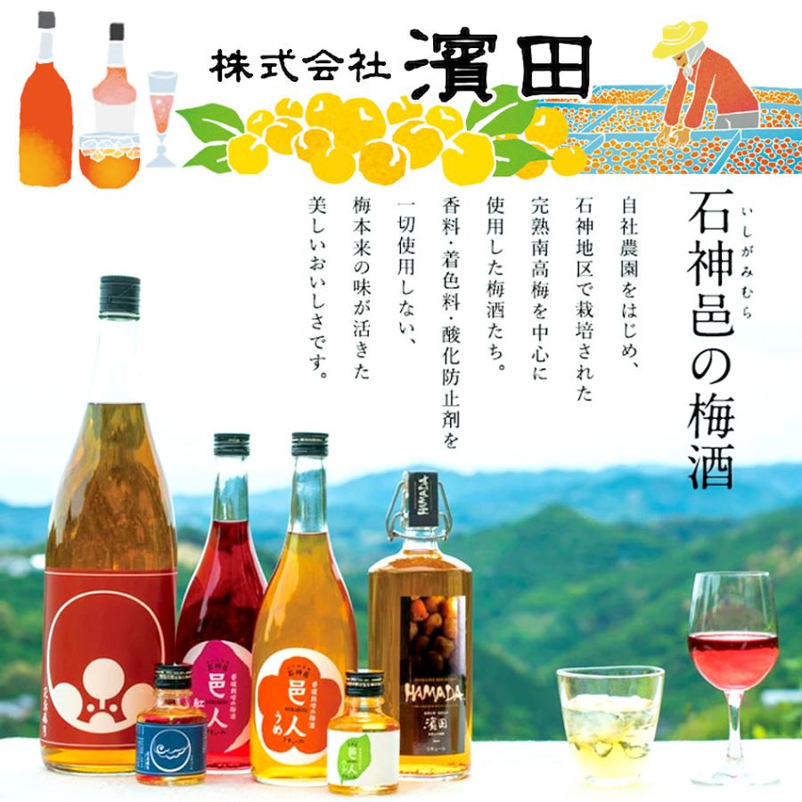 【1箱12本入り】本格梅酒 「HAMADA」黒ラベル ブラック 5年熟成 720ml 梅酒濱田_2