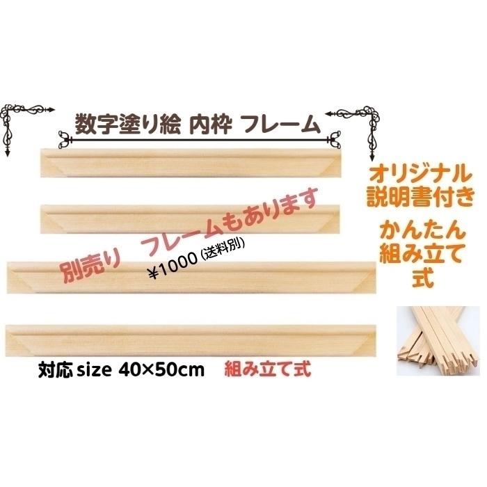 翌日発送 数字塗り絵 ナンバーペイント ぬりえ おとな 油絵 塗り絵 フレームなし トトロ メイ 14 Np14 ウカノミタマヤ 通販 Yahoo ショッピング