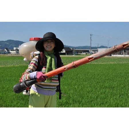 令和３年産　新米　沢樹米(2kg) コシヒカリ（特別栽培米）｜ukawanousann｜06