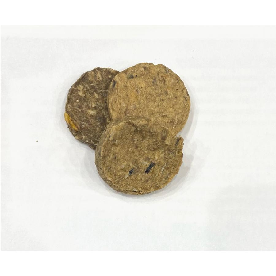犬用おやつ　ドッグトリ―ツ　穀物不使用フィッシュビスケット　1kg | 