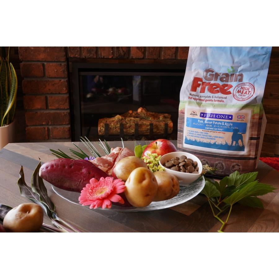 フィッシュワン　ポーク＆アップル　2kg |  | 01