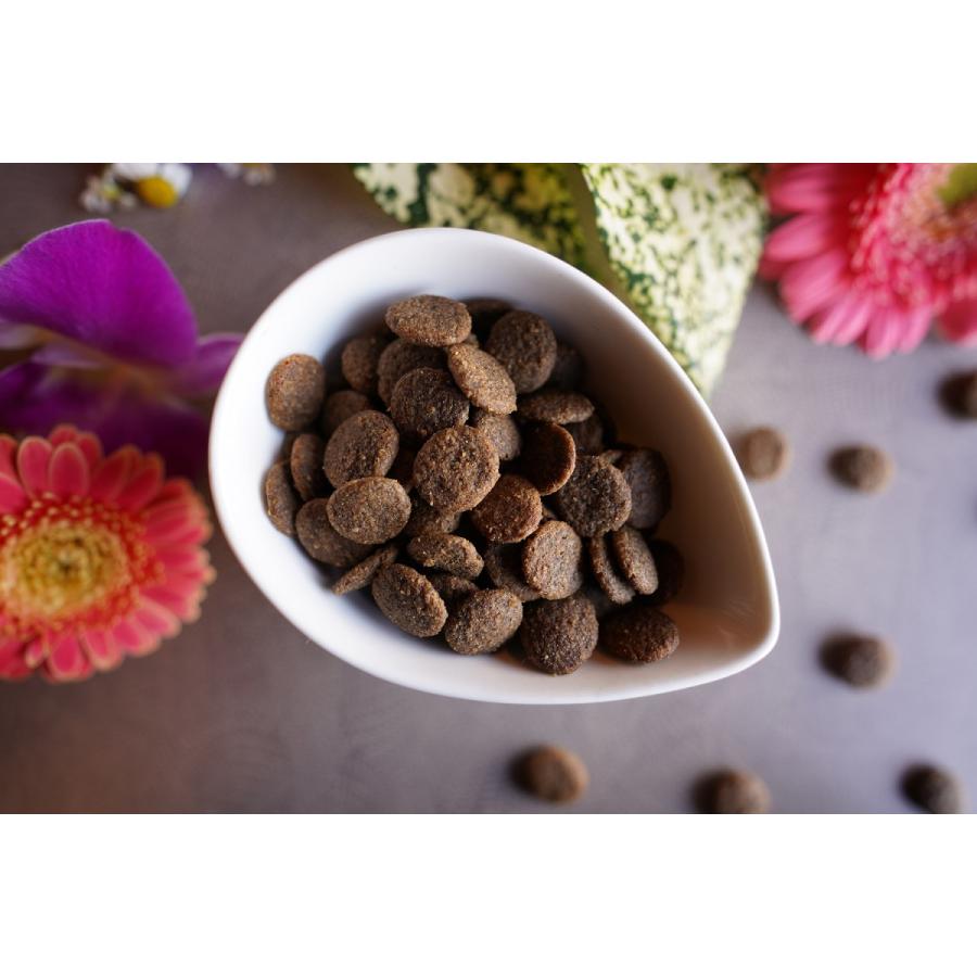 フィッシュワン　ポーク＆アップル　2kg |  | 02