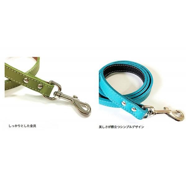 Auburn Leathercrafters トスカーナ本革リード 120cm×2.0cm ターコイズ 16326 