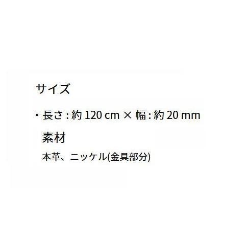 Auburn Leathercrafters トスカーナ本革リード 120cm×2.0cm ターコイズ 16326 