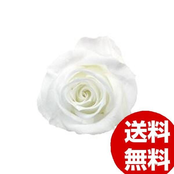 祝開店大放出セール開催中 Verdissimo ヴェルディッシモバルクペティートローズホワイト 有名ブランド最終値下げ