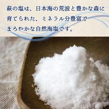 萩の塩 25g ×48本セット 