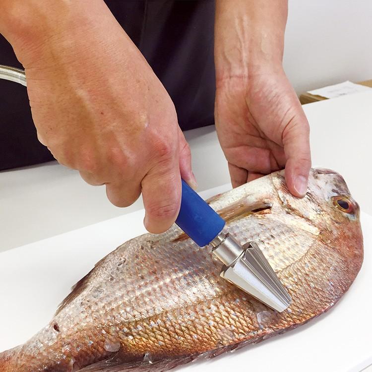 電動うろこ取り機 タスケール AST-150 ウロコ プロ 本格業務仕様 水産