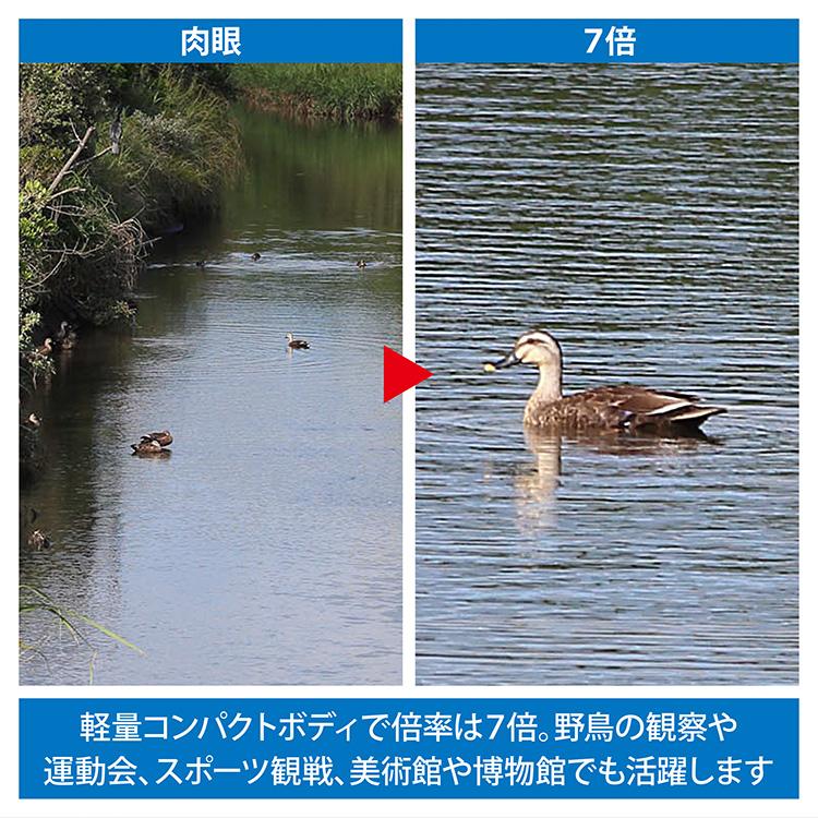 単眼鏡 遠・中・近対応 コンパクト単眼鏡 アウトドア ハイキング 美術館 博物館 スポーツ観戦 野鳥の観察 倍率７倍 60グラム 軽量｜ukiukiland｜05