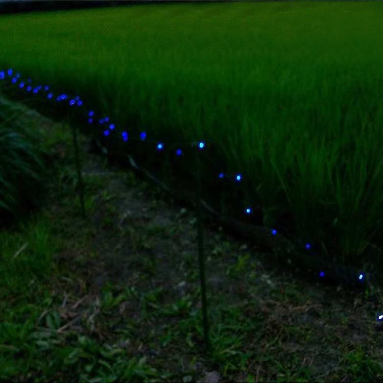 イノシシ撃退装置 Led通せんぼ Big!照度センサー 夜間自動点灯 日中