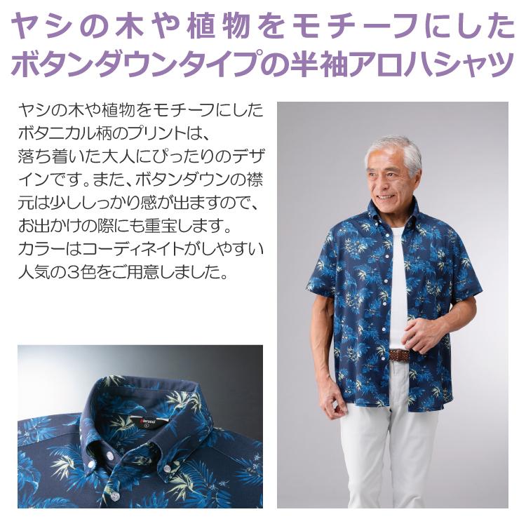 紳士 メンズ シニア お洒落 Pierucci ピエルッチ ボタンダウン 半袖