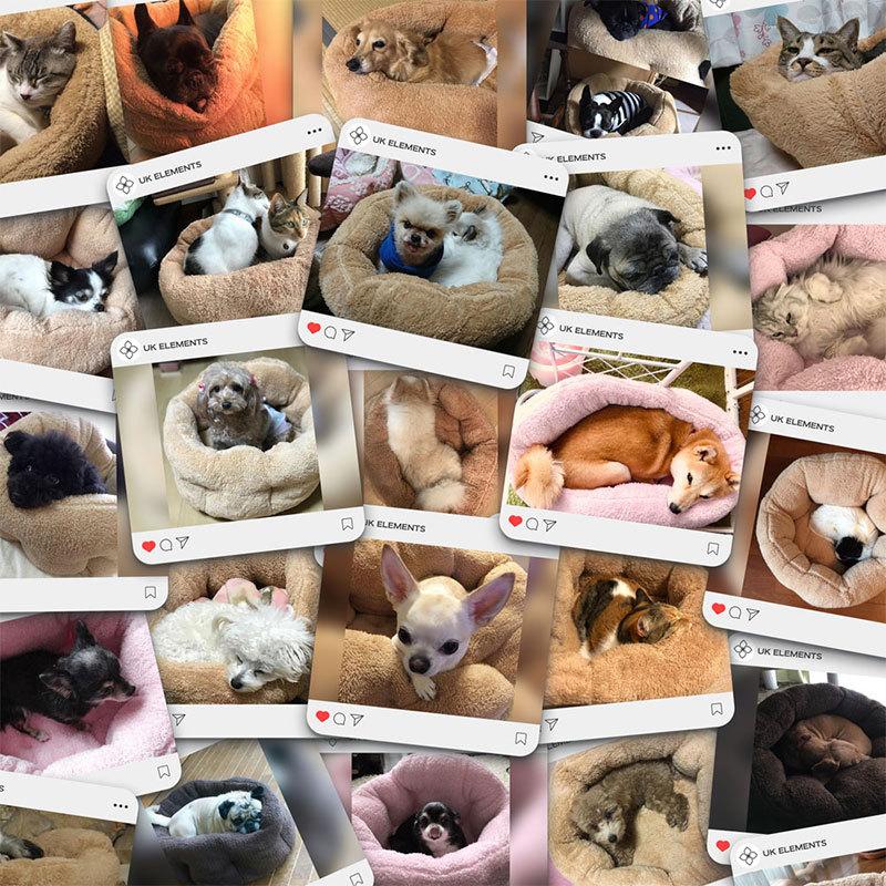 【送料無料】犬ベッド 猫ベッド 洗える犬用ベッド 冬用ふわモコ伸縮性に富んだ暖かいベッド 安心の日本国内ブランドUK Elements正規商品 おしゃれ かわいい |  | 04