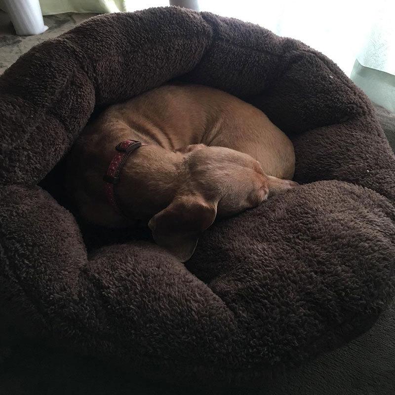 【送料無料】犬ベッド 猫ベッド 洗える犬用ベッド 冬用ふわモコ伸縮性に富んだ暖かいベッド 安心の日本国内ブランドUK Elements正規商品 おしゃれ かわいい |  | 03