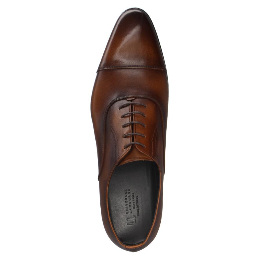 2212 ストレートチップ ドレスシューズ ブラウン 27cm WEB限定/OUTLET】【SL】ストレートチップブルーチャー(外羽根式