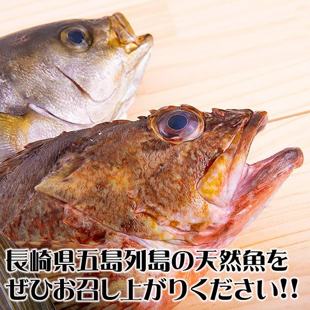 五島列島天然魚の刺身 海の宝セット5人前｜ukurosen｜03
