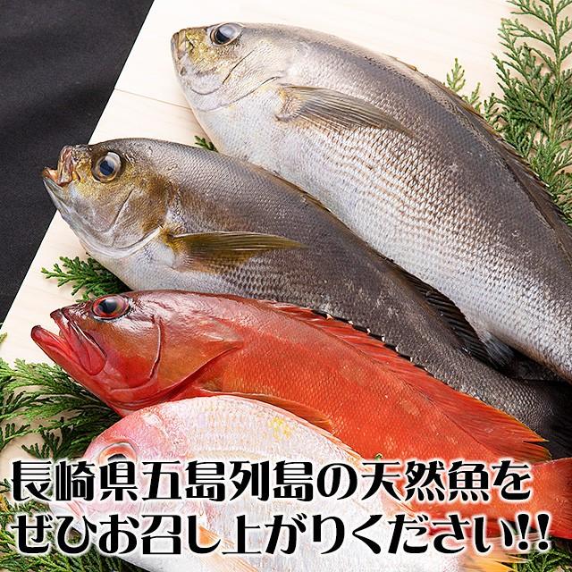 五島列島天然魚の刺身 海の宝セット5人前｜ukurosen｜05
