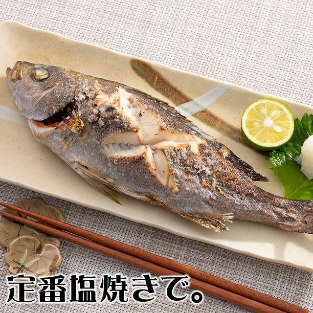 五島列島天然魚の刺身 海の宝セット3人前｜ukurosen｜08