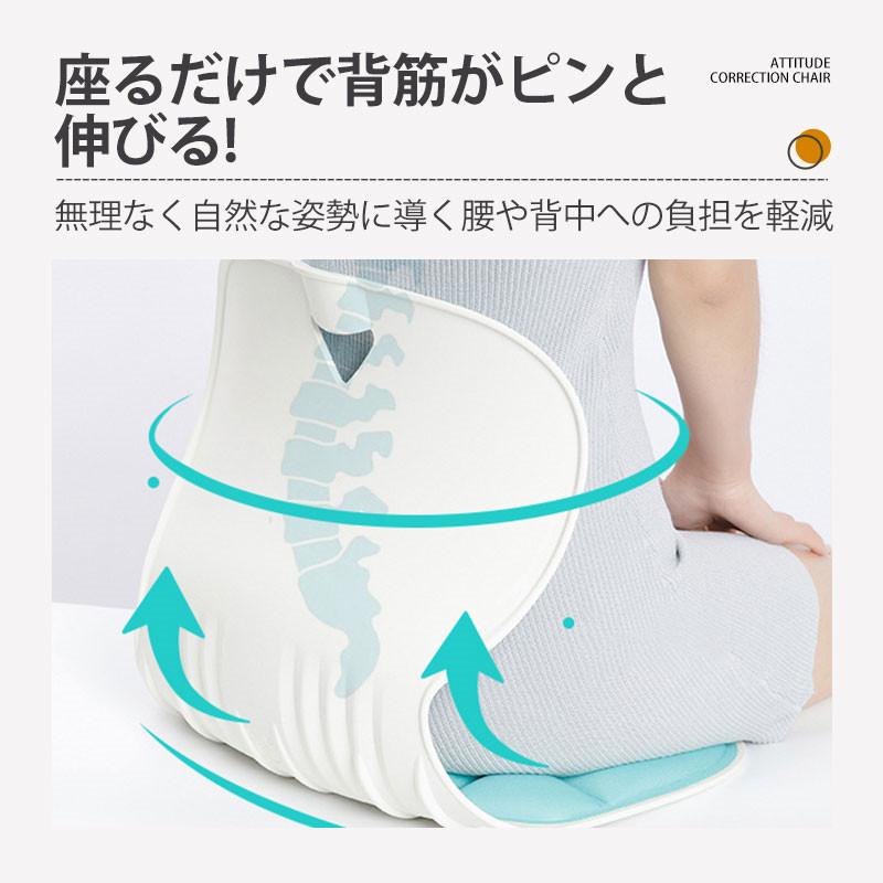 姿勢矯正 椅子 骨盤サポートチェア 骨盤矯正クッション 折りたたみ椅子 骨盤から腰をサポート 高反発メモリー綿 腰当て 猫背改善 携帯式 軽量 ギフト 姿勢矯正 椅子 骨盤サポートチェア 骨盤矯正クッション 折りたたみ椅子 骨盤から腰をサポート 高反発メモリー綿 腰当て 猫背改善 携帯式 軽量 ギフト