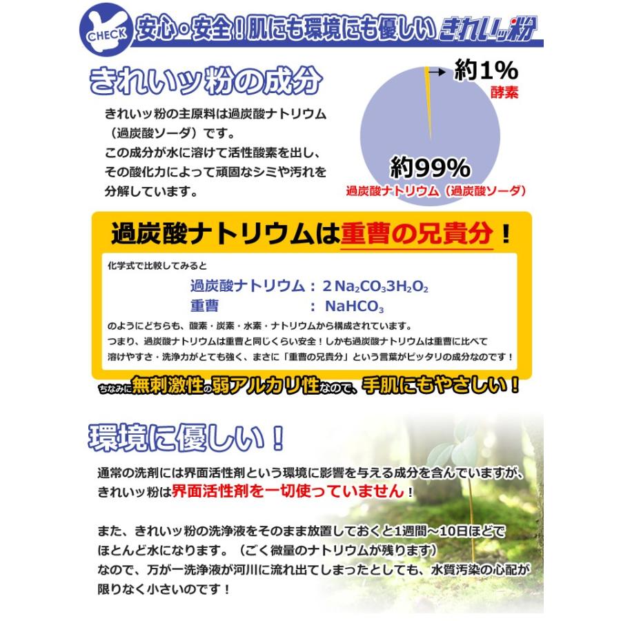 きれいッ粉 洗浄剤 洗剤 過炭酸ナトリウム 酸素系 1kg クリーナー ヤニ取り ペット Tvで紹介 ウルマックスジャパン 通販 Yahoo ショッピング