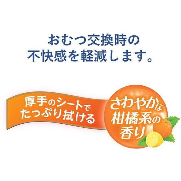 ハビナース トイレに流せるおしりふき 大判厚手 40枚入｜ulmax｜06