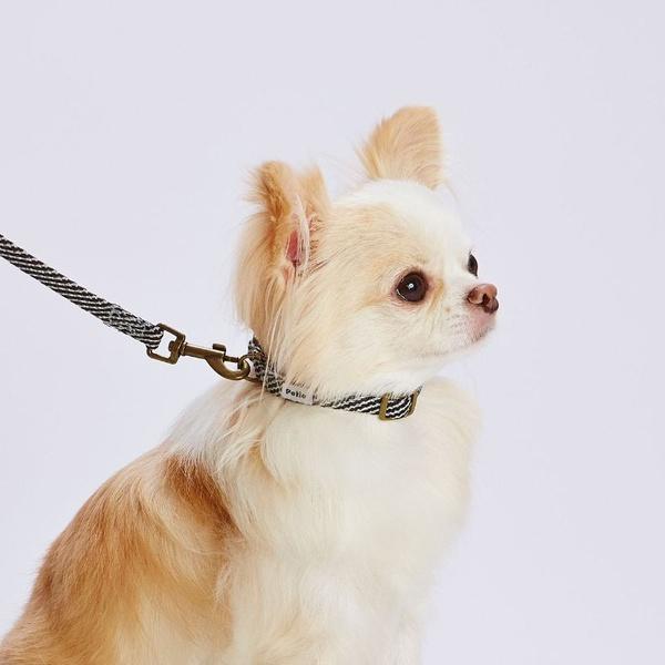 ペティオ 犬用首輪 フラッシュソフトカラー SS ブラック |  | 01