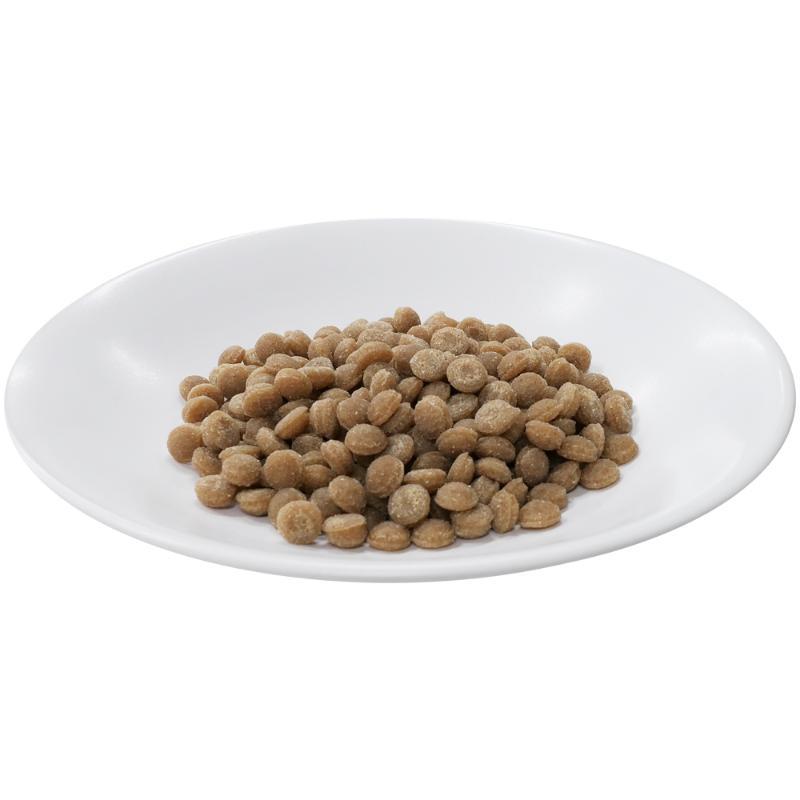 デビフペット CS素材の旨味鶏肉シニア犬用200g |  | 02