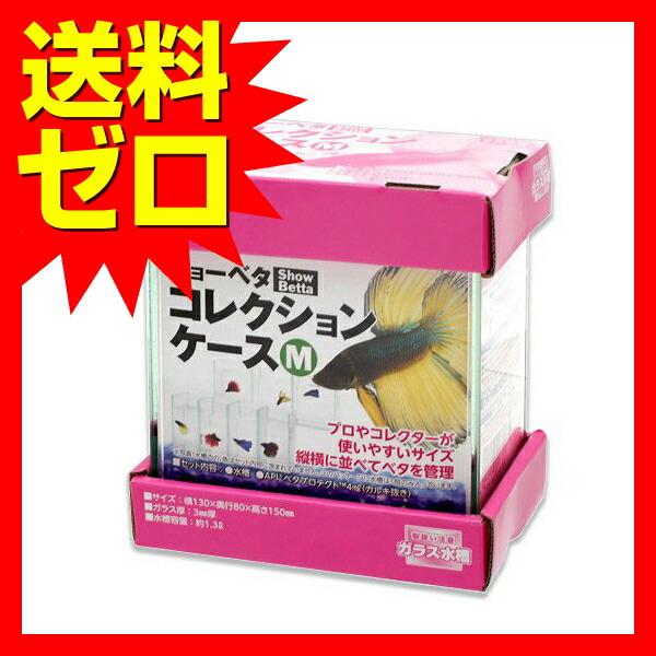 水作 水槽 ショーベタ コレクションケース M サイズ 熱帯魚