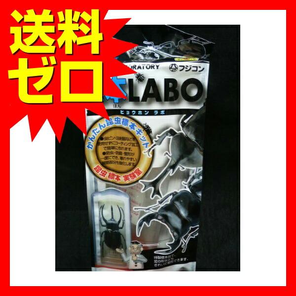 フジコン (3個セット) フジコン標本 LABO 6点セット 昆虫 : ウル 