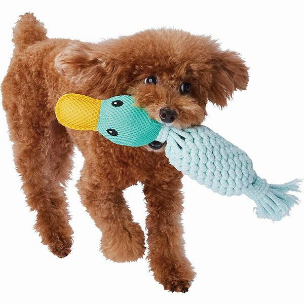 (12個セット) ペティオアドメイト カムカムDental Birds カモ デンタルケア アドメイト 犬用おもちゃ ドッグトイ 犬のおもちゃ_1