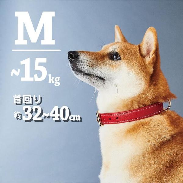 (6個セット) ペティオ Porta クラシックソフトレザーカラー 24mm レッド_1