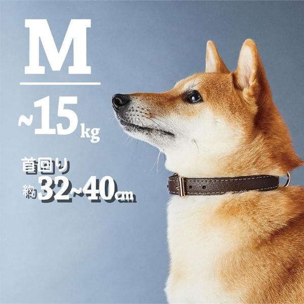 (6個セット) ペティオ Porta クラシックソフトレザーカラー 24mm ブラウン_1