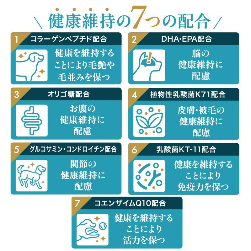 デビフペット ドッグフード シニア 鶏肉 200g×12 老犬用 グルコサミン配合 半生フード 総合栄養食 小粒 小型犬 高齢犬 モイスト |  | 03