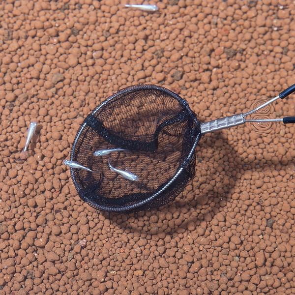 (24個セット) スドー メダカの玉網 黒 稚魚用_2