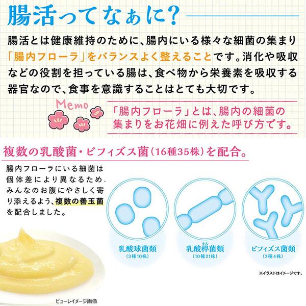 (48個仕かける) ドギーマン ミニアニマン 腸活生きて行く 薫製ハムお父ちゃんぴゅ れ 鶏ささみ\u0026乾酪 3g×10個