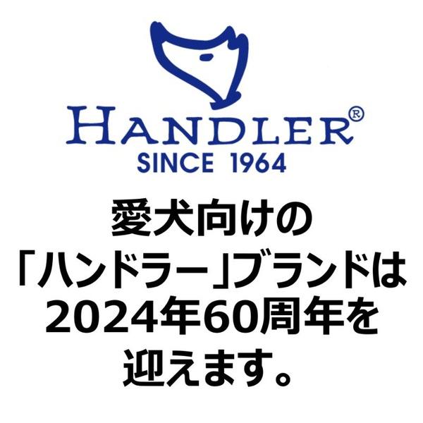 (6個セット) アース・ペット ターキー ハンドラー パピーバグ首輪付リード グリーン |  | 05