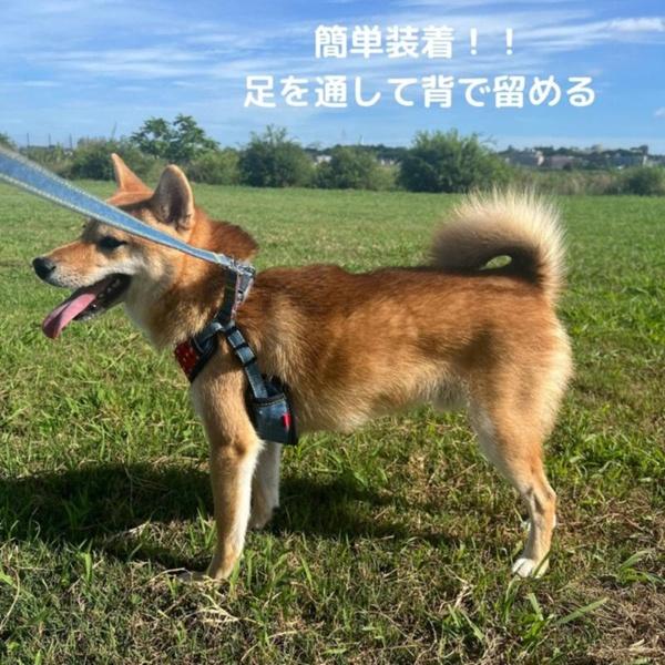 (6個セット) アース・ペット ターキー ハンドラー エブリデイ 抜けにくい胴輪 チェックデニム 中型犬用 黒_2