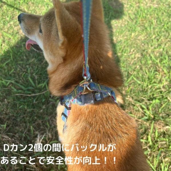 (6個セット) アース・ペット ターキー ハンドラー エブリデイ 抜けにくい胴輪 チェックデニム 中型犬用 黒_3