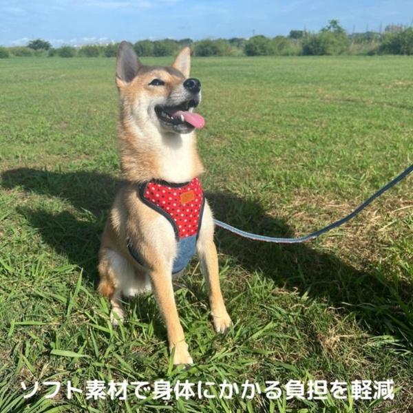 (6個セット) アース・ペット ターキー ハンドラー エブリデイ 抜けにくい胴輪 チェックデニム 中型犬用 黒_4