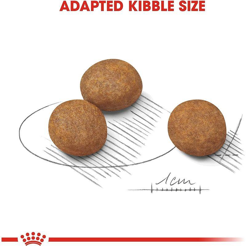 ロイヤルカナン SHN マキシ ジュニア 犬用 10kg 