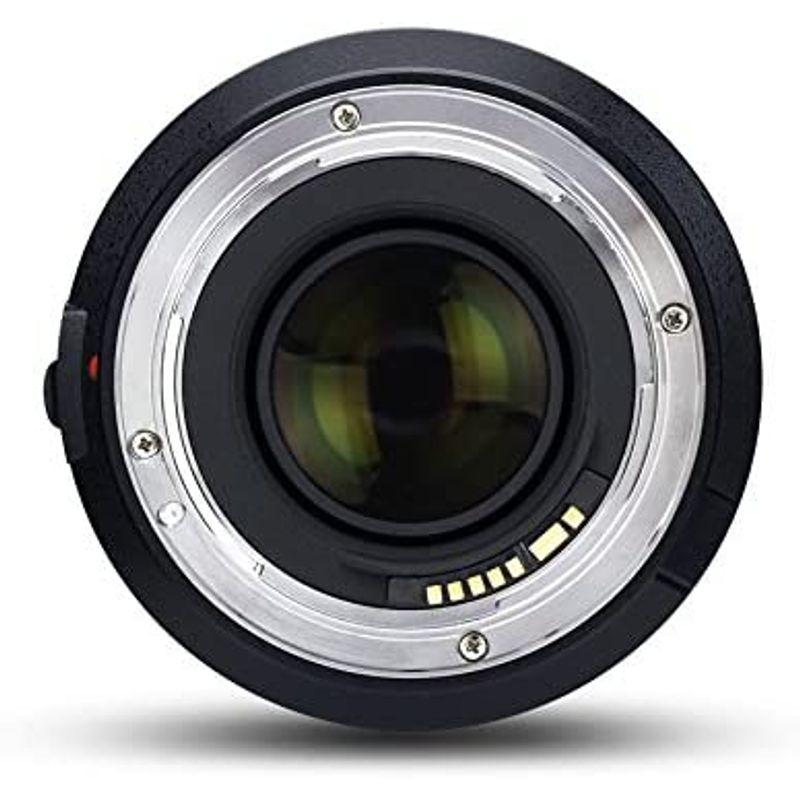 YONGNUO YN50mm F1.4 C キャノンEFマウント 標準レンズ 単焦点レンズ RP/R5/R/1500D/80D/5DIV/5 