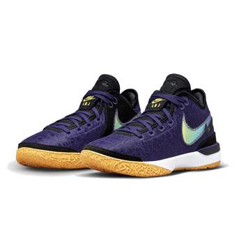NIKE Nike バッシュ シューズ ナイキ レブロン ジェームスZoom