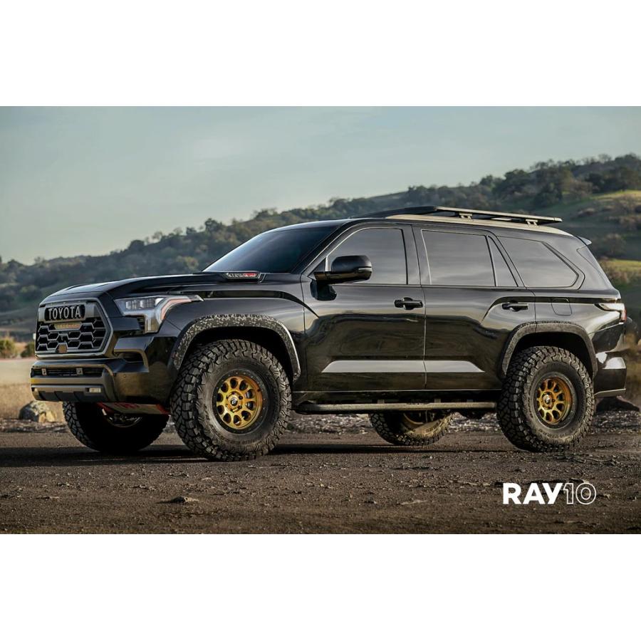 SCS （ステルスカスタム）RAY10 ブラック 17インチアルミ