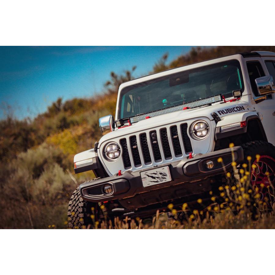 ALPHAREX ( アルファレックス ) LEDプロジェクターヘッドライト NOVA