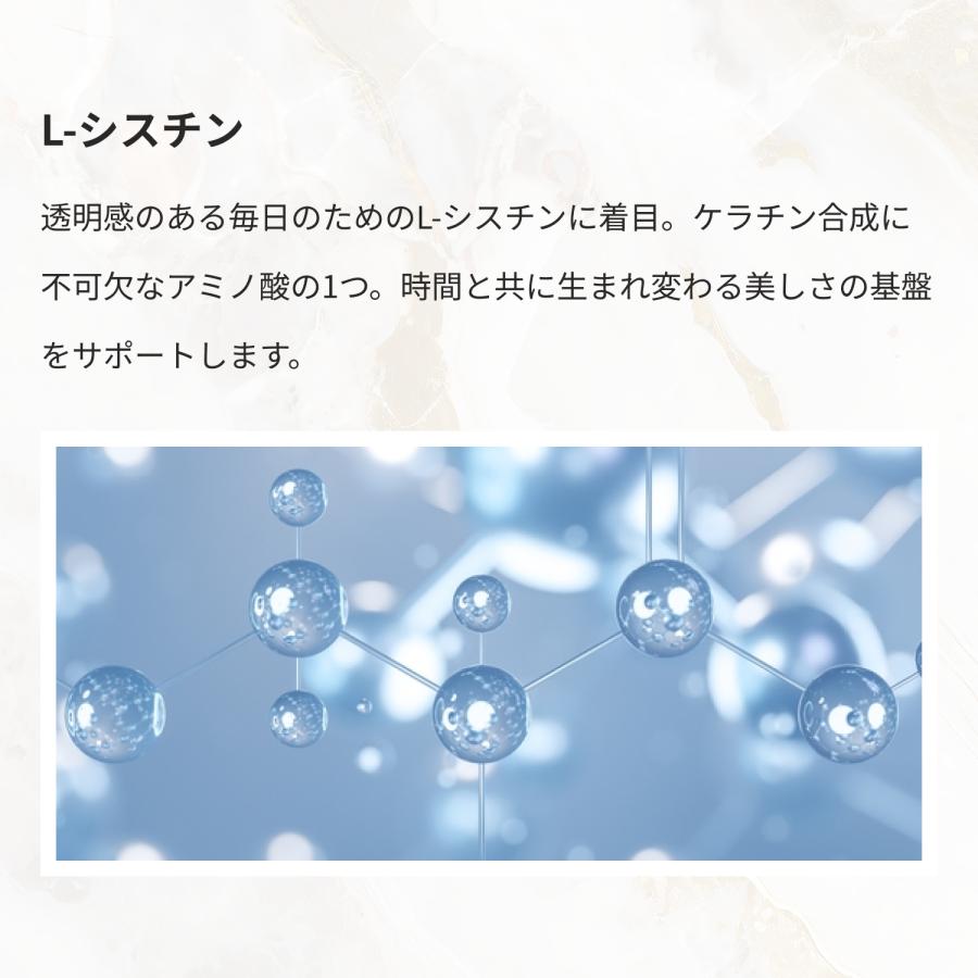 ULTORA ビューティープロテイン ウルトラ 2袋セット WPC ソイ 抹茶