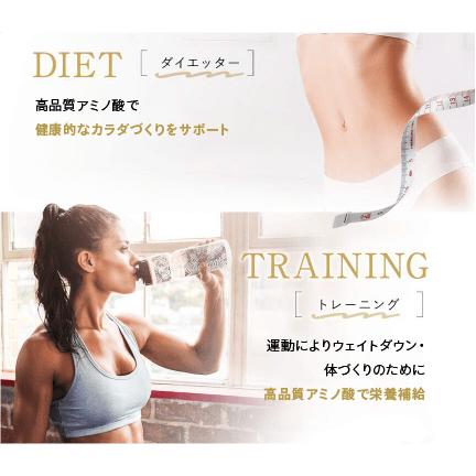 ULTORA BCAA ウルトラ BCAA THE BOOST アミノ酸 必須アミノ酸 500g 1袋