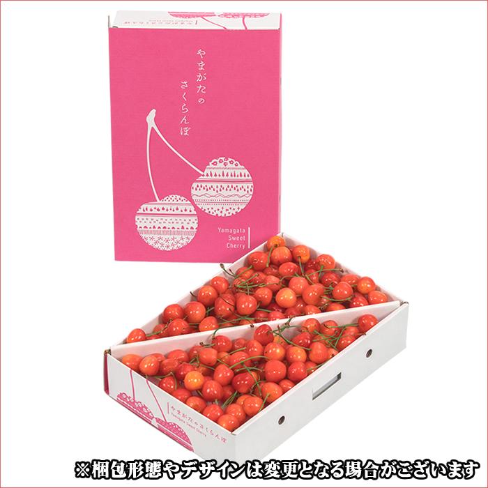 Antares　佐藤錦L秀品1キロ　クール便　送料込み ☆クール便出荷☆ 即日発送実施中！ 山形県産 ご家庭用