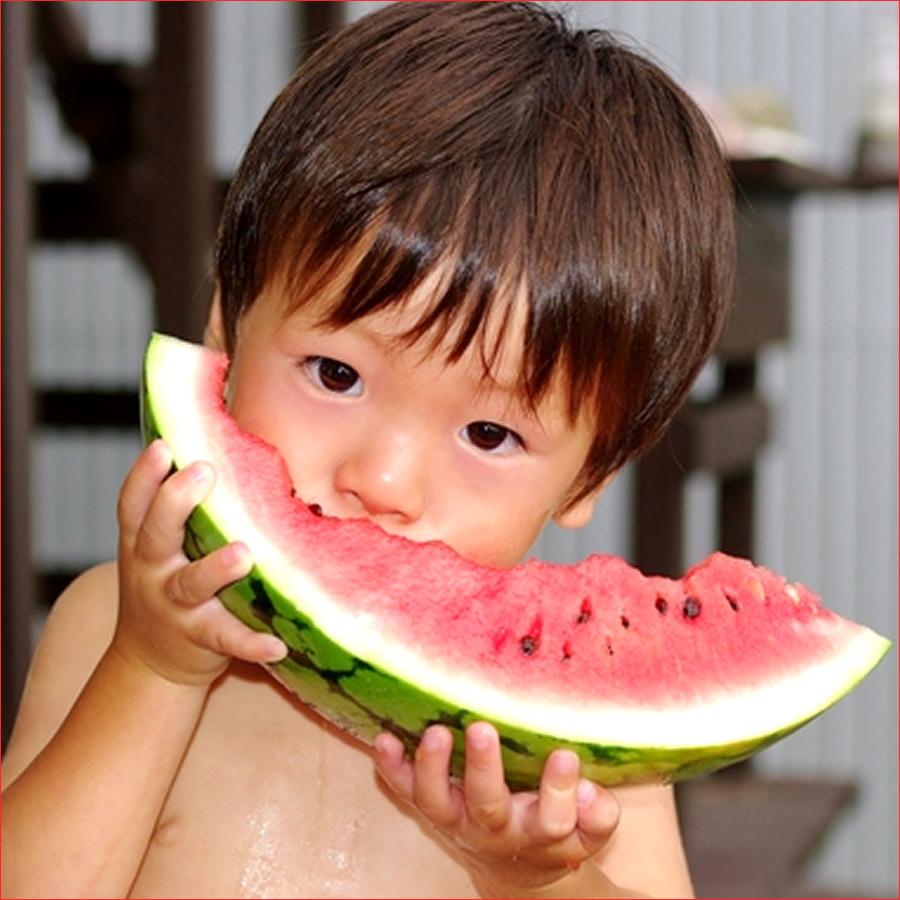 【7月中旬から順次出荷予定】山形県産 ご家庭用 尾花沢すいか 1玉(1玉 約10kg)※日時指定はメールで※ |  | 05